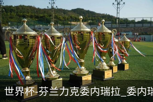 世界杯-芬兰力克委内瑞拉 委内瑞拉0胜5负告别