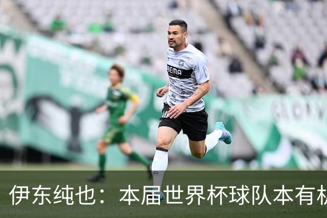 伊东纯也：本届世界杯球队本有机会继续向前 不会从国家队退役