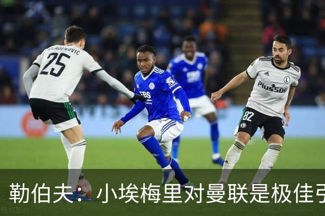 勒伯夫：小埃梅里对曼联是极佳引援，卡里克能帮他进步