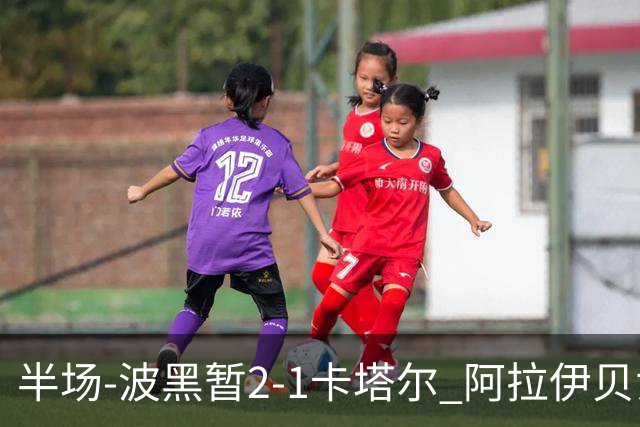 半场-波黑暂2-1卡塔尔 阿拉伊贝戈维奇世界波破门哲科造乌龙