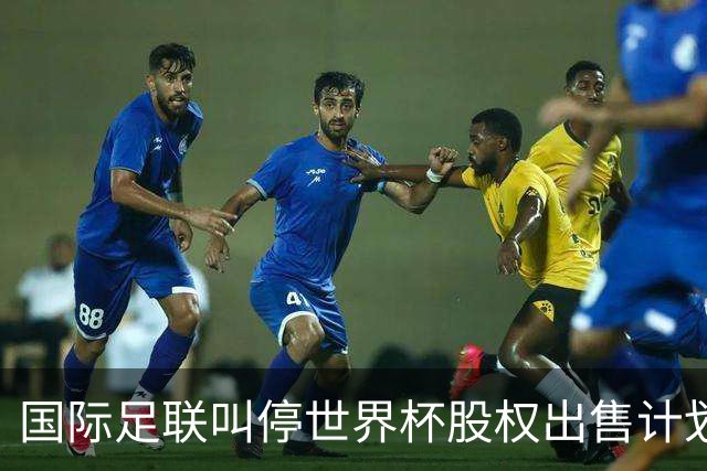 国际足联叫停世界杯股权出售计划