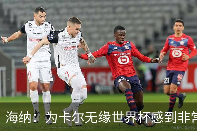 海纳：为卡尔无缘世界杯感到非常遗憾 他的未来依然无比广阔