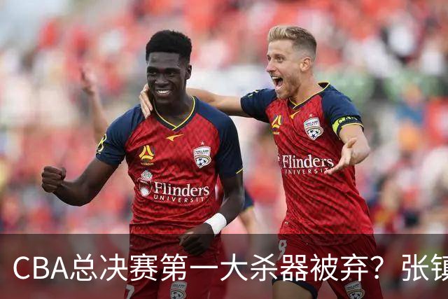 CBA总决赛第一大杀器被弃？张镇麟落选国家队：他竟输给了崔永熙